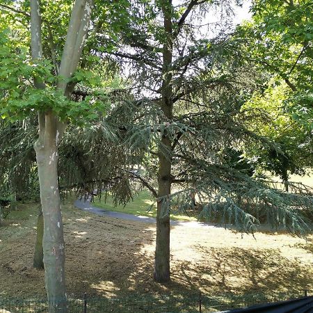 Chambre D'Hote Dans Une Maison Avec Parking Privee Saint-Etienne  Dış mekan fotoğraf