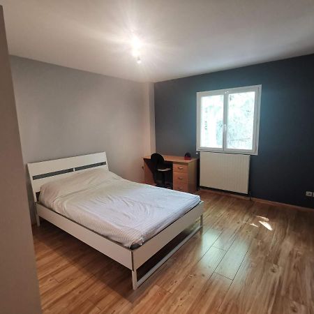 Chambre D'Hote Dans Une Maison Avec Parking Privee Saint-Etienne  Dış mekan fotoğraf