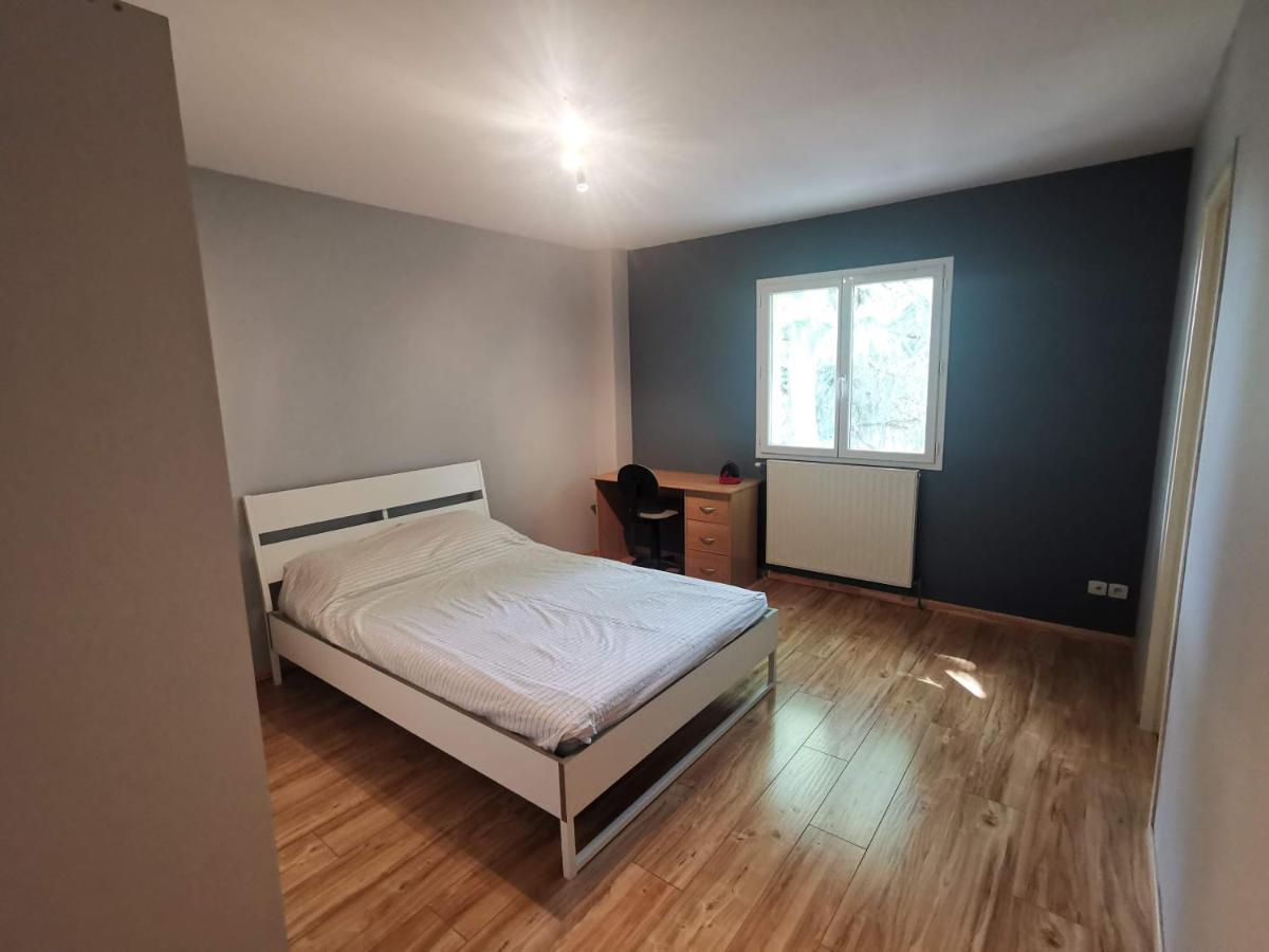 Chambre D'Hote Dans Une Maison Avec Parking Privee Saint-Etienne  Dış mekan fotoğraf